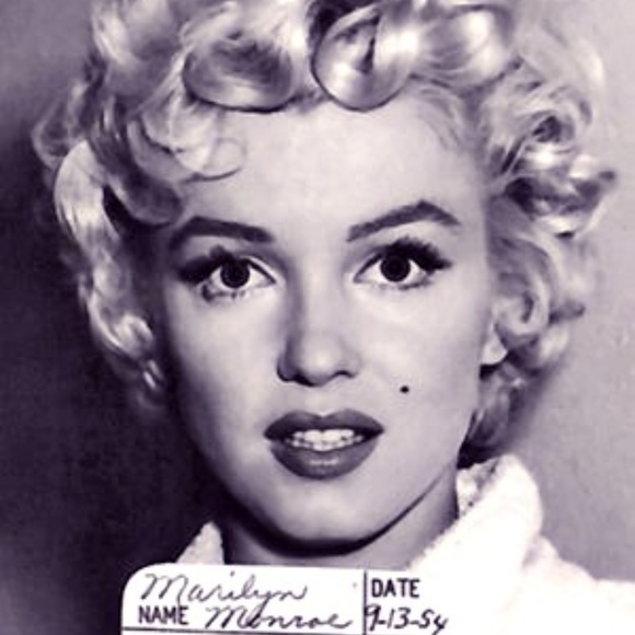 Meet your Posher, Sam - Picture 1 of 1